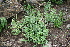  ( - MS046)  @11 [ ] No Rights Reserved  Unspecified Unspecified