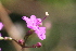  ( - MS046)  @11 [ ] No Rights Reserved  Unspecified Unspecified