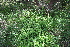  ( - MS054)  @11 [ ] No Rights Reserved  Unspecified Unspecified