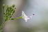  ( - MS054)  @11 [ ] No Rights Reserved  Unspecified Unspecified