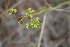  ( - MS055)  @11 [ ] No Rights Reserved  Unspecified Unspecified