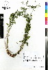  ( - MTJ-0047)  @11 [ ] CreativeCommons - Attribution Non-Commercial Share-Alike (2012) Mamadi Theresa Sethusa University of Johannesburg