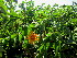  ( - PPRI-0225)  @11 [ ] CreativeCommons - Attribution Non-Commercial Share-Alike (2012) Mamadi Theresa Sethusa University of Johannesburg