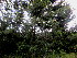  ( - PPRI-0226)  @11 [ ] CreativeCommons - Attribution Non-Commercial Share-Alike (2012) Mamadi Theresa Sethusa University of Johannesburg