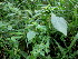  ( - PPRI-0232)  @11 [ ] CreativeCommons - Attribution Non-Commercial Share-Alike (2012) Mamadi Theresa Sethusa University of Johannesburg