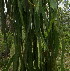  ( - PPRI-0241)  @11 [ ] CreativeCommons - Attribution Non-Commercial Share-Alike (2012) Mamadi Theresa Sethusa University of Johannesburg