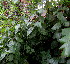  ( - PPRI-0267)  @11 [ ] CreativeCommons - Attribution Non-Commercial Share-Alike (2012) Mamadi Theresa Sethusa University of Johannesburg
