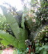  ( - PPRI-0272)  @11 [ ] CreativeCommons - Attribution Non-Commercial Share-Alike (2012) Mamadi Theresa Sethusa University of Johannesburg
