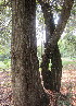  ( - PPRI-0288)  @11 [ ] CreativeCommons - Attribution Non-Commercial Share-Alike (2012) Mamadi Theresa Sethusa University of Johannesburg
