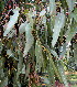  ( - PPRI-0288)  @11 [ ] CreativeCommons - Attribution Non-Commercial Share-Alike (2012) Mamadi Theresa Sethusa University of Johannesburg