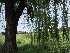  ( - PPRI-0165)  @11 [ ] CreativeCommons - Attribution Non-Commercial Share-Alike (2012) Mamadi Theresa Sethusa University of Johannesburg