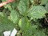  ( - PPRI-0199)  @11 [ ] CreativeCommons - Attribution Non-Commercial Share-Alike (2012) Mamadi Theresa Sethusa University of Johannesburg