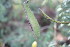  ( - PR934)  @11 [ ] No Rights Reserved  Unspecified Unspecified