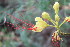  ( - PR934)  @11 [ ] No Rights Reserved  Unspecified Unspecified
