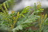  ( - RMK0006)  @11 [ ] No Rights Reserved  Unspecified Unspecified