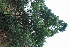  ( - RMK0006)  @11 [ ] No Rights Reserved  Unspecified Unspecified