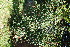  ( - RMK0008)  @11 [ ] No Rights Reserved  Unspecified Unspecified