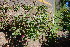 ( - RMK0011)  @11 [ ] No Rights Reserved  Unspecified Unspecified