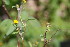  ( - RMK0011)  @11 [ ] No Rights Reserved  Unspecified Unspecified