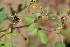  ( - RMK0011)  @11 [ ] No Rights Reserved  Unspecified Unspecified