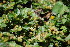  ( - RMK0014)  @11 [ ] No Rights Reserved  Unspecified Unspecified