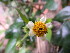  ( - MvdB0032)  @11 [ ] No Rights Reserved  Unspecified Unspecified