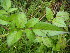  ( - MvdB0032)  @11 [ ] No Rights Reserved  Unspecified Unspecified