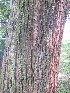  ( - MvdB0050)  @11 [ ] No Rights Reserved  Unspecified Unspecified