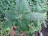  ( - Hosam00426)  @11 [ ] Copyright (2013) Dr. Hosam Elansary Alexandria University