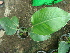  ( - Hosam00436)  @11 [ ] Copyright (2013) Dr. Hosam Elansary Alexandria University
