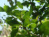  ( - Hosam00126)  @11 [ ] Copyright (2011) Dr. Hosam Elansary Alexandria University