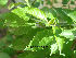  ( - Hosam00117)  @11 [ ] Copyright (2011) Dr. Hosam Elansary Alexandria University