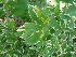  ( - Hosam00121)  @11 [ ] Copyright (2011) Dr. Hosam Elansary Alexandria University