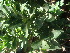  ( - Hosam00480)  @11 [ ] Copyright (2013) Dr. Hosam Elansary Alexandria University
