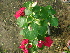  ( - Hosam00423)  @11 [ ] Copyright (2013) Dr. Hosam Elansary Alexandria University