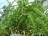  ( - Hosam00404)  @11 [ ] Copyright (2013) Dr. Hosam Elansary Alexandria University