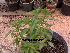  ( - Hosam00190)  @11 [ ] Copyright (2011) Dr. Hosam Elansary Alexandria University