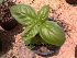  ( - Hosam00192)  @11 [ ] Copyright (2011) Dr. Hosam Elansary Alexandria University