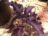  ( - Hosam00195)  @11 [ ] Copyright (2011) Dr. Hosam Elansary Alexandria University