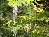  ( - Hosam00156)  @11 [ ] Copyright (2011) Dr. Hosam Elansary Alexandria University