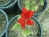  ( - Hosam00332)  @11 [ ] Copyright (2013) Dr. Hosam Elansary Alexandria University
