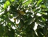  ( - Hosam00014)  @11 [ ] Copyright (2010) Dr. Hosam Elansary Alexandria University