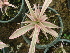  ( - Hosam00447)  @11 [ ] Copyright (2013) Dr. Hosam Elansary Alexandria University
