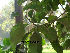  ( - Hosam00169)  @11 [ ] Copyright (2011) Dr. Hosam Elansary Alexandria University