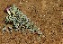  ( - HPAP2)  @11 [ ] Unspecified (default): All Rights Reserved  Unspecified Unspecified
