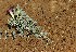  ( - HPAP19)  @11 [ ] Unspecified (default): All Rights Reserved  Unspecified Unspecified