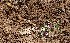  ( - HPAP11)  @11 [ ] Unspecified (default): All Rights Reserved  Unspecified Unspecified