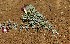  ( - HPAP15)  @11 [ ] Unspecified (default): All Rights Reserved  Unspecified Unspecified