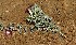  ( - HPAP24)  @11 [ ] Unspecified (default): All Rights Reserved  Unspecified Unspecified