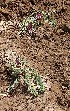  ( - HPAP4)  @11 [ ] Unspecified (default): All Rights Reserved  Unspecified Unspecified